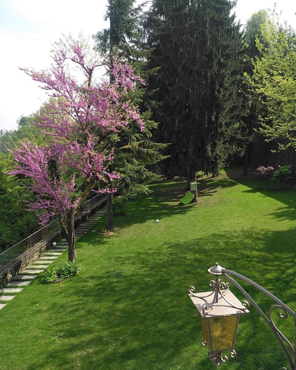 B&B Dimora Delle Donnole Bergamo Alta 외부 사진